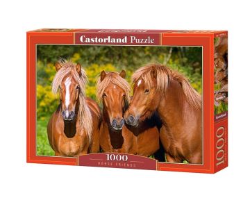 Пъзел Castorland 1000 части Кончета 103959