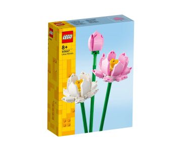 Конструктор LEGO Iconic 40647 - Лотоси