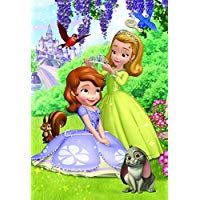 Детски пъзел Disney Princess Sofie 24 Maxi 351554