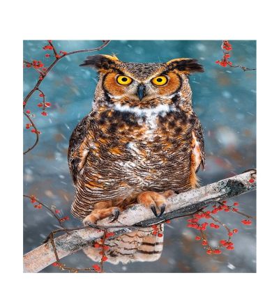 Пъзел Castorland 500 части Величествен бухал B-52387