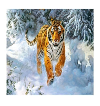 Пъзел Castorland 500 части Сибирски император