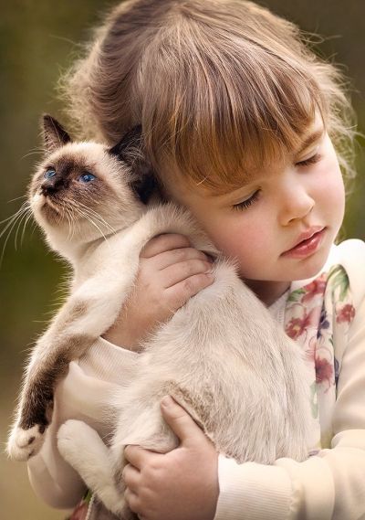 Пъзел Castorland 500 части Чиста любов 52943