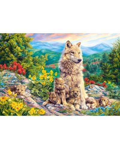 Пъзел Castorland 1000 части Ново поколение 104420