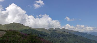 Метална кола PORSCHE 959 Welly 1:34