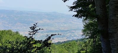 Метална кола PORSCHE 959 Welly 1:34