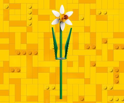 Конструктор LEGO Iconic 40747 - Нарциси