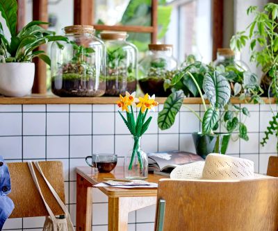 Конструктор LEGO Iconic 40747 - Нарциси