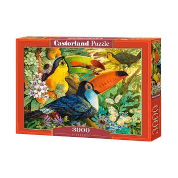 Пъзел Антракт 3000 части Castorland 300433