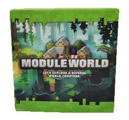 Магнитни кубчета за миникрафт Module World MS19