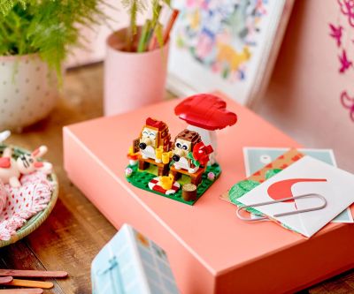 Конструктор LEGO Iconic 40711 Пикник с таралеж