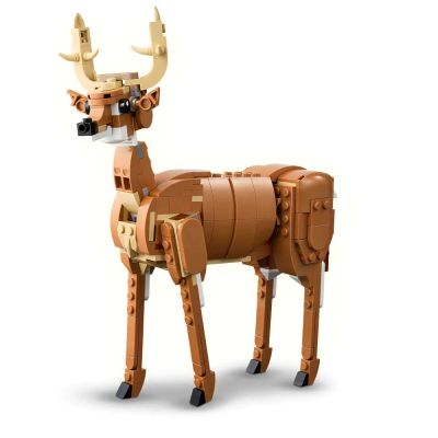 Конструктор LEGO Creator 31166 Красив кон 3в1
