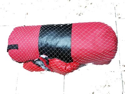 Детска боксова круша