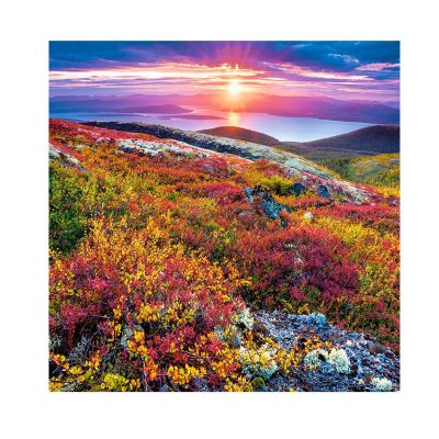 Пъзел Castorland 1000 части Северна палитра