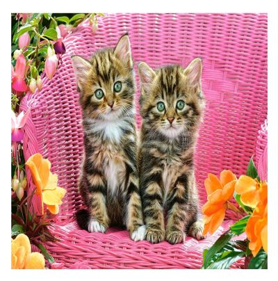 Пъзел Котенца в градински стол Castorland 1000 части 