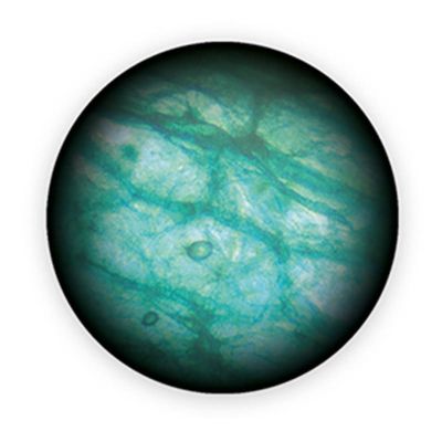 Детски дигитален микроскоп Buki BKMR700