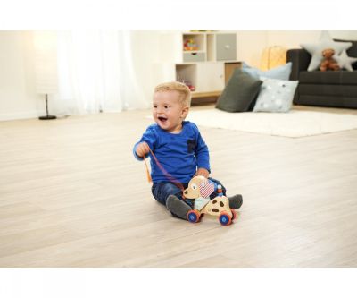 Дървена играчка за бутане и дърпане Куче Eichhorn 100005586