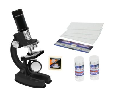 Музикална бебешка проходилка ZIZZY СИВ